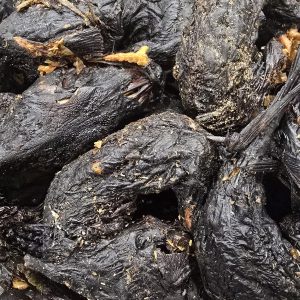 Smoked Catfish